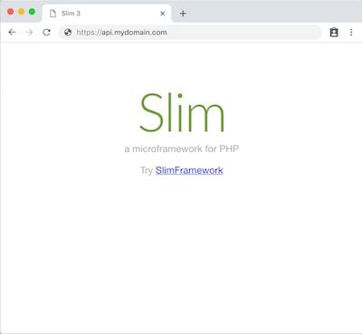 Slim screenshot